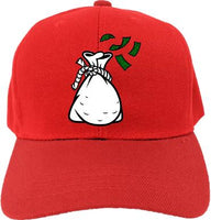 Money Bag-Dad Hat
